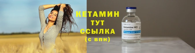 шишки Вязьма